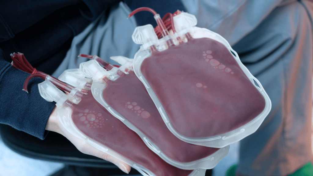 transfusão de sangue em animais