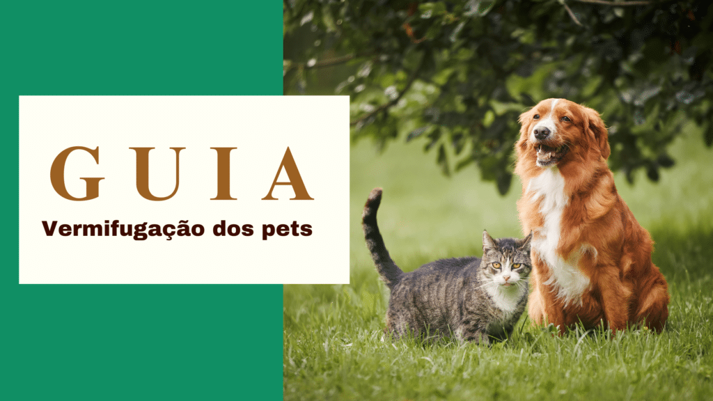 Guia sobre vermifugação dos pets