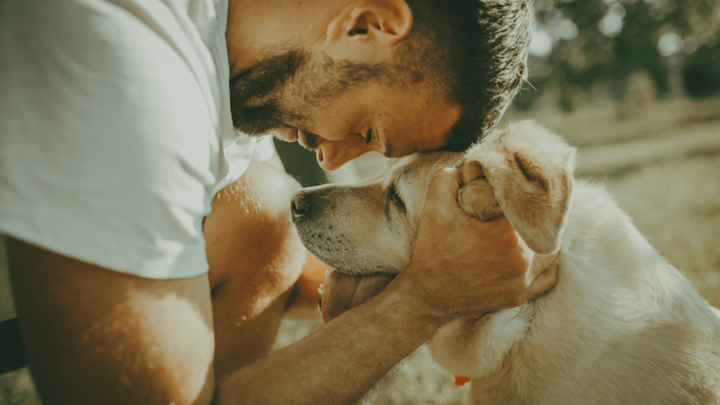 depressão no cachorro